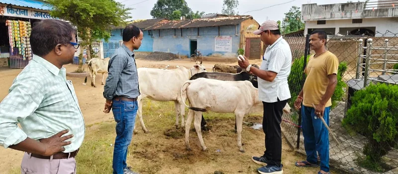 सेवा संकल्प अभियान के तहत ग्राम बर्री में पशु स्वास्थ्य शिविर आयोजित