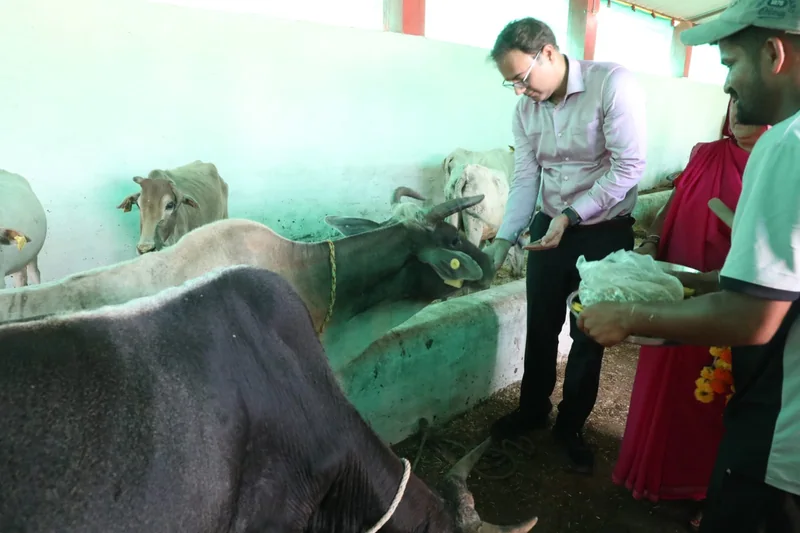 मुख्यमंत्री जन-विश्वास अभियान कलेक्टर श्री तिवारी ने गैतरा गौशाला पहुंचकर लिया व्यवस्थाओं का जायजा, गायों को…